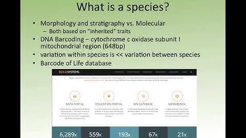 Comparative Genomics Lecture 5 - Comparative Genomics