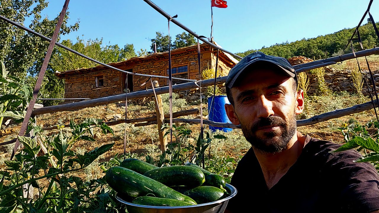 DAĞ EVİ İLK MAHSÜLLER~ORGANİK ATA TOHUMU FİDELER COŞTU