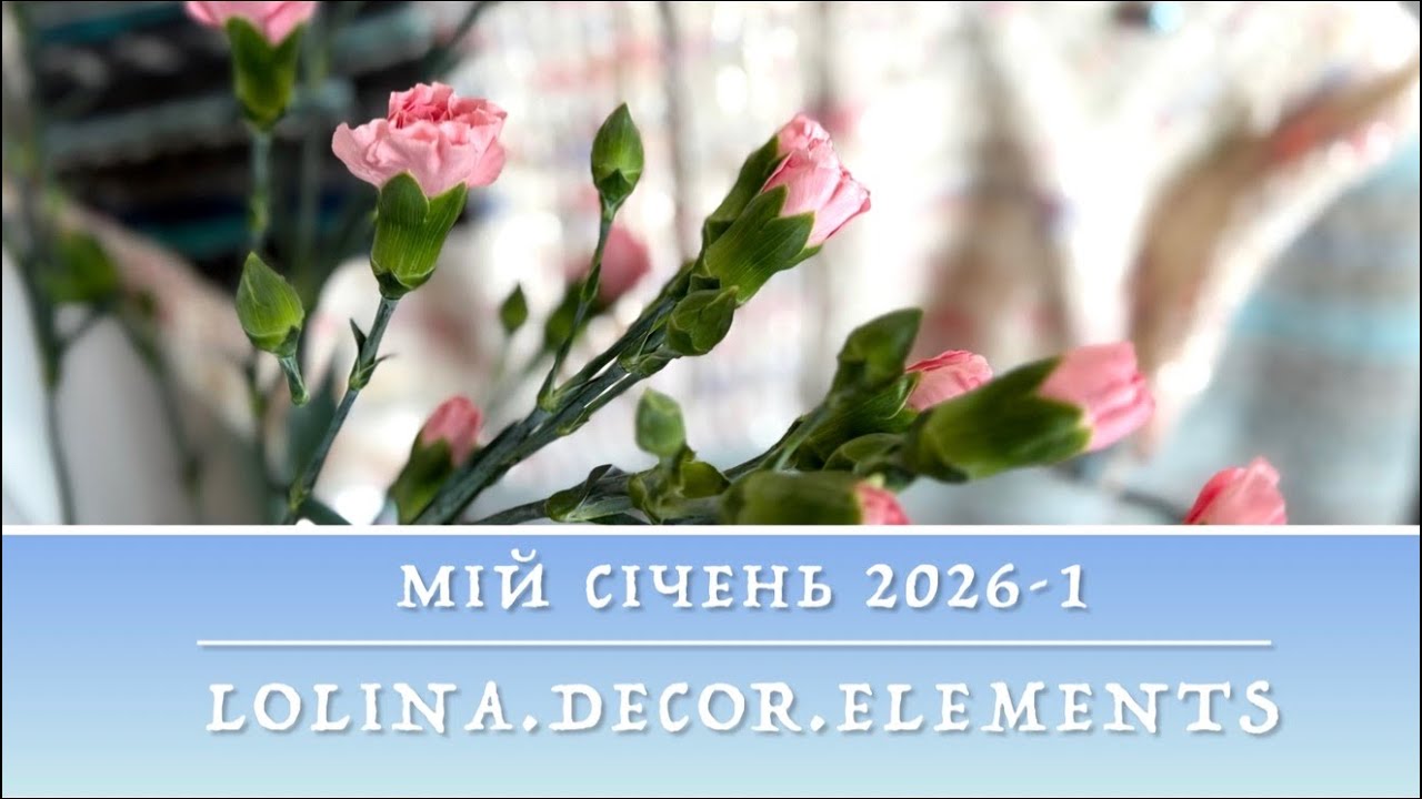 2/26. Мій січень, частина 1: готові шкарпетки та Monday sweater. Плани на лютий. Грац, Відень