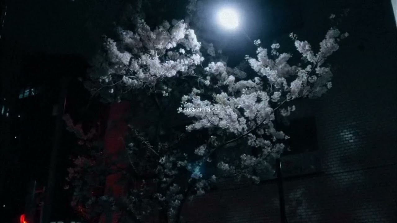 Watch MikusMartin - She on YouTube Watch MikusMartin - She on YouTube