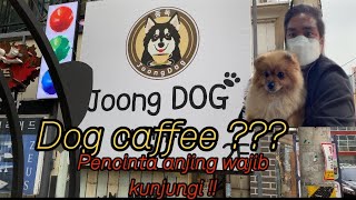DOG CAFE ? BAGI PENCINTA ANJING WAJIB KE TEMPAT INI  !! by aZoshi Korea 197 views 2 years ago 16 minutes