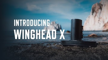 Introducing the WINGHEAD X