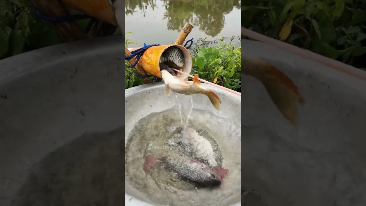 Catch Fish the Eco-Friendly Way! Recycled Trap Ideas