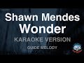 Shawn Mendes-Wonder (Melody) (Karaoke Version)