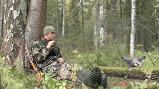 Осенняя охота на рябчика. Моя первая охота с манком! Hazel Grouse hunting