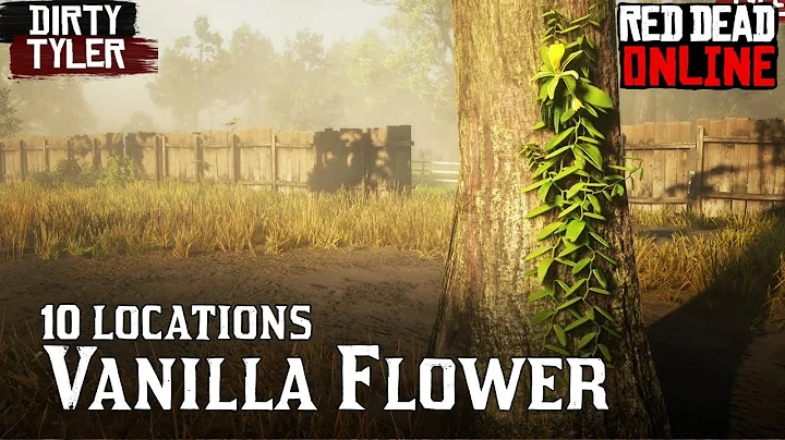 Vanilla flower  Locations RDR2 Red Dead redemption online beta Dail challenges - DayDayNews