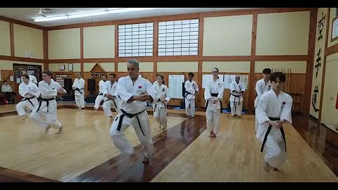 Introduction to Brad Jones Karate Do