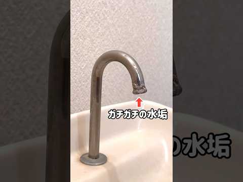 【トイレ掃除】何年も放置した水垢を簡単に落とす