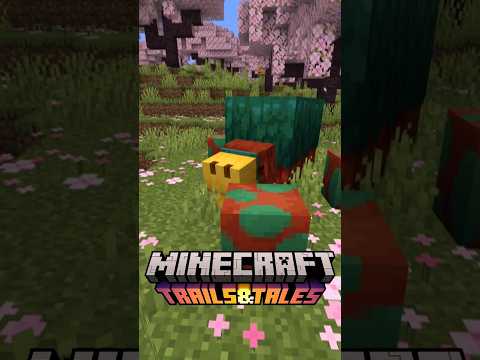 Wideo: W Minecraft co robi haczyk tripwire?