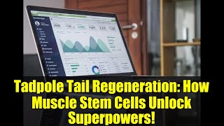 Tadpole Tail Regeneration How Muscle Stem Cells Unlock Superpowers
