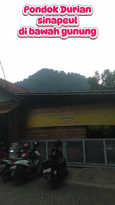 Pondok Durian Sinapeul di bawah Gunung #kangdedimulyadi #durian #duren