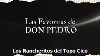 Las Favoritas de Rancheritos del Topo chico (11 éxitos de la estación de DON PEDRO MX)