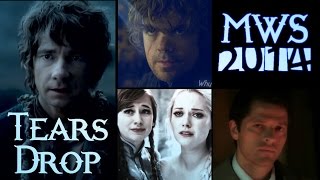 ⌠MWS⌡ -  TearsDrop - Multifandom MEP