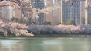 𝑺𝒐𝐟𝘵𝑒𝑛 Soft Voice Sublim1Nall