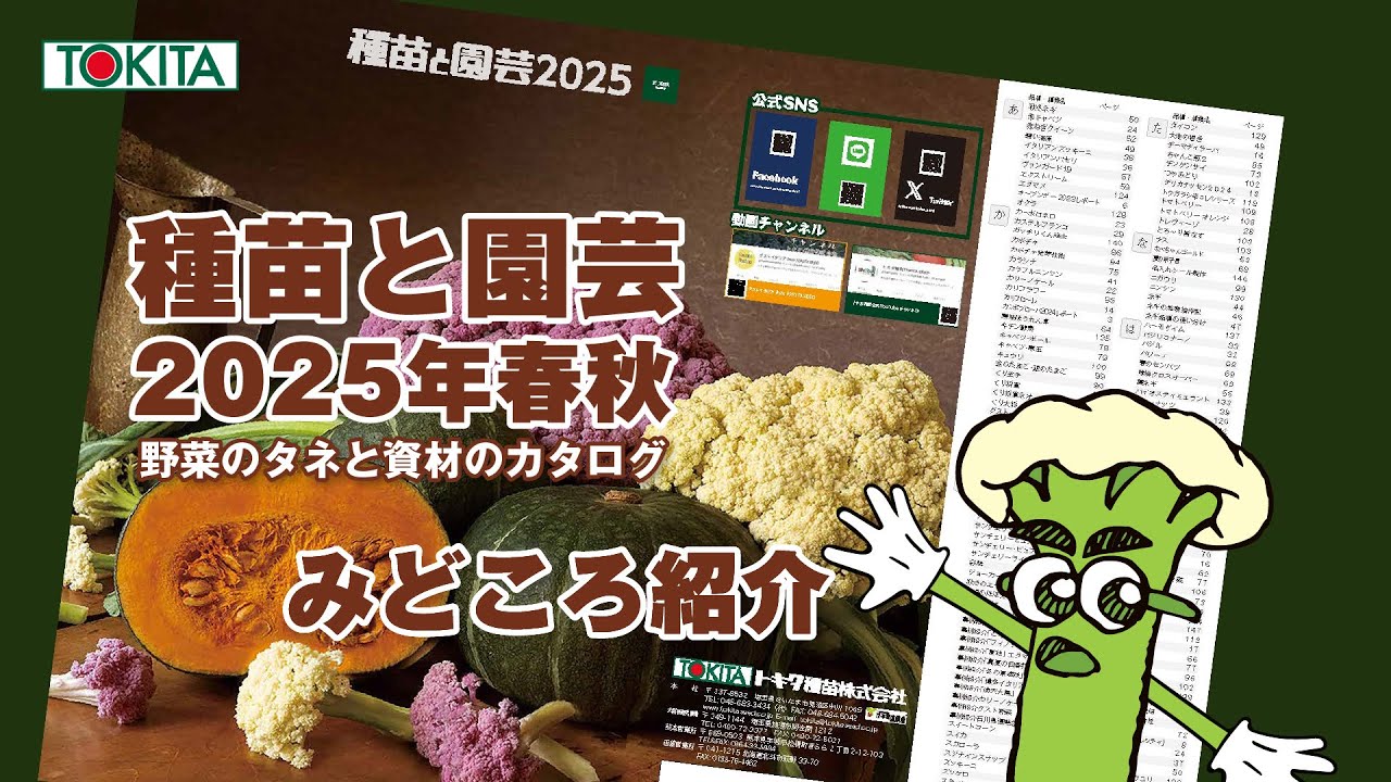 春にまく野菜の種　1,000円セット【2025年　春】 maxresdefault.jpg