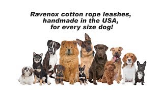 Ravenox Dog Leashes For All Sizes Rope Dog Leads Handmade Leashes For Dogs And Pet Lovers