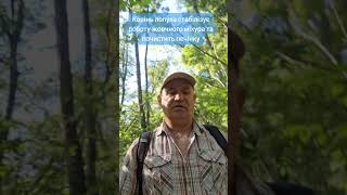 Корінь лопуха почистить печінку кров  протоки жовчного міхура #відео You Tube #