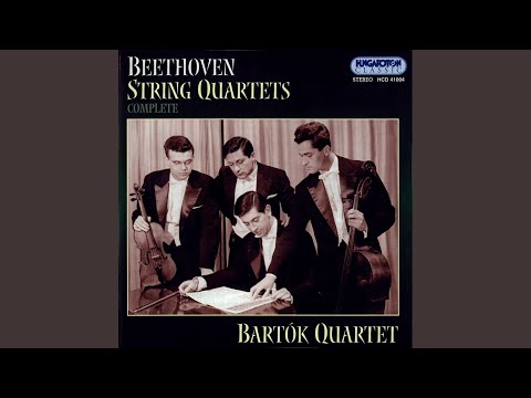 No 2 in G major Op. 18/2 III. Scherzo. Allegro