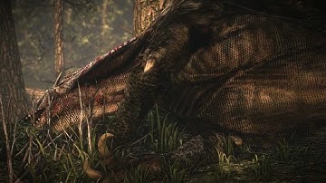 The Witcher 2: Defeating the Dragon (Hard Mode)