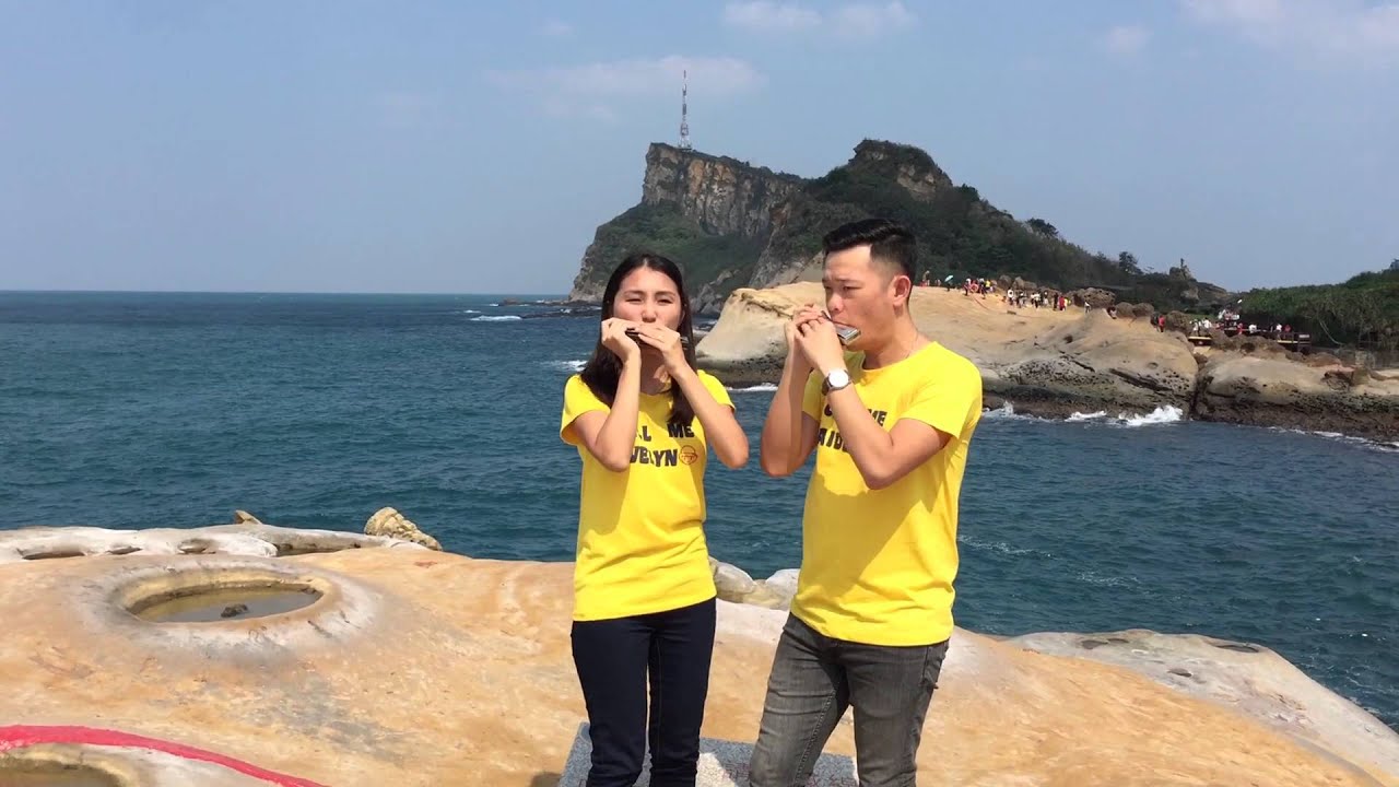 Taylor Swift - Blank Space (Aiden N Evelyn harmonica cover)