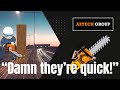Aztech Group - Ep20: Felling trees next to one of England's FASTEST roads!!