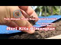 Cara Penggunaan Tahi Minyak / Hampas Sawit Dengan Betul || Lembu Gemok dan Menjimatkan Kos Makanan