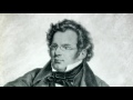 DER TEUFEL ALS HYDRAULICUS - D.4 - Schubert