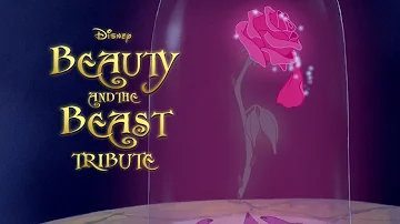 Beauty and the Beast Tribute - "Tales as Old as Time" - Ariana Grande ft. John Legend