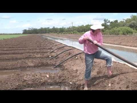 Irrigating with