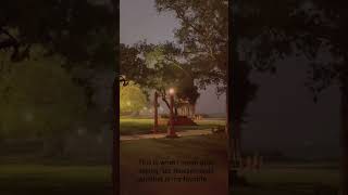 Obsessed with nature... #shorts #viral#rashmimishra #selfobessed