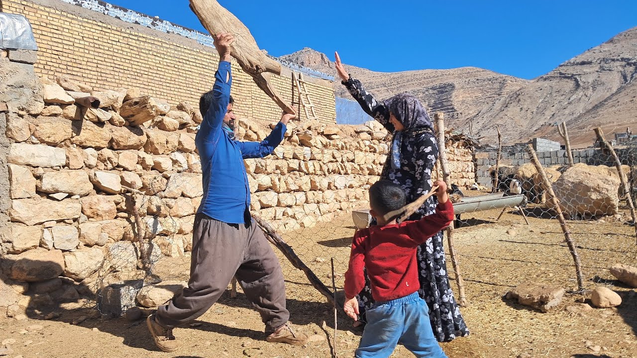 ۲۰ فوریهٔ ۲۰۲۶