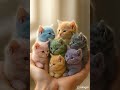 Tiny Kittens Sleeping Peacefully in a Hand 🐱🌷 So Cute and Calming #cute #kitten #relaxing #wholesome