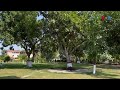 تاریخ پوهان وایي پېښور چې د ګلونو او باغونو په نوم به یادیدو اوس د دوړو او لوګو په ښار بدل شوی تاریخ پوهان وایي پېښور چې د ګلونو او باغونو په نوم به یادیدو اوس د دوړو او لوګو په ښار بدل شوی