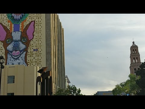 Rica Tarde En La Plaza camera iphone 8 plus apk