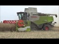 Claas Lexion 750TT a 770TT v řepce