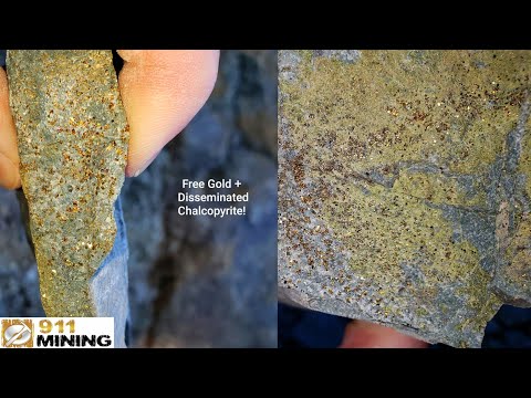 Disseminated Gold & Chalcopyrite Over A 2Km Long Exposure!