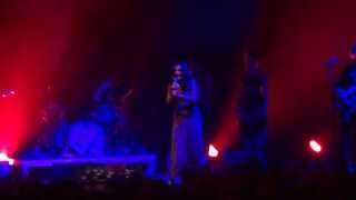 The Savage Rose Annisette Palle Hjorth