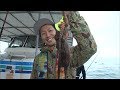 明石海峡で船タコ絶好調！ついに出た！２キロの巨大タコ！/四季の釣り/2017年6月30放送
