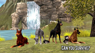 Dog Survival App Promo - Wildfoot Games screenshot 2