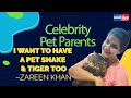 Meet Zareen Khan And Her Six Cats Celebrity Pet Parents 