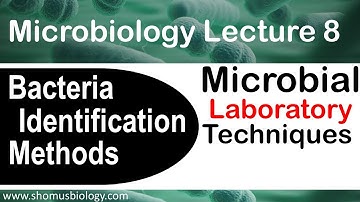 Microbiology lecture 8 | bacterial identification methods in the microbiology laboratory