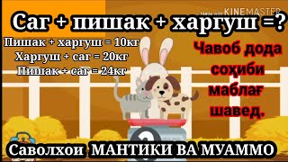 картинка: Саволхои МАНТИКИ ВА МУАММО - чавоб дода сохиби маблағ шавед