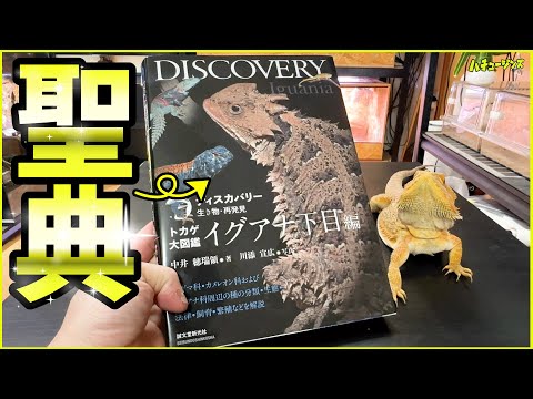 DISCOERY イグアナ下目編 （トカゲ大全 LIZARDS OF THE WORLD