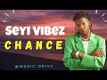 seyi vibez chance sped up