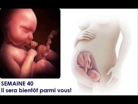Vidéo: 18 Semaines De Grossesse : Sensations, Développement Fœtal