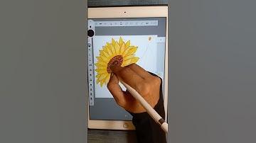 #shorts Autodesk Sketchbook-Sunflower