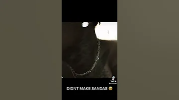 sahbabii unreleased