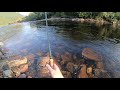Salmon fishing Gaula River- Winsnes Lodge August 2018