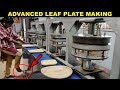 How areca leaf plates making  disposable and biodegradable  factory explorer