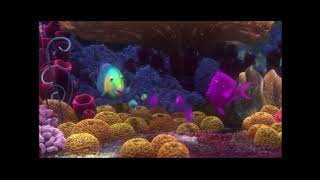 Sponge Beds / Finding Nemo Meme